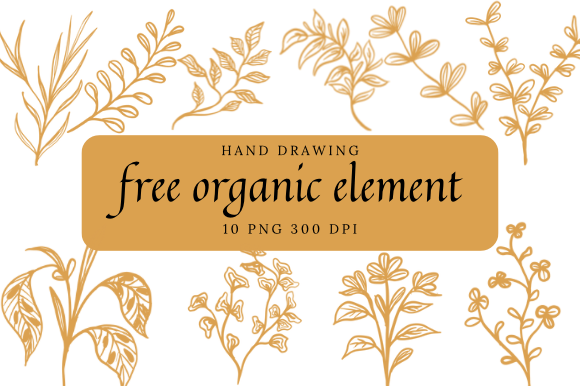 Revitalizing Creative Workflows with Free Organic Element Assets