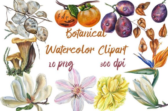 Revitalizing Digital Design: The Enduring Appeal of Botanical Watercolor Clipart, Png